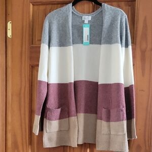 Market & Spruce Multicolor Striped Cardigan